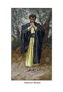 Die Bibel. Altes Testament Buch 1 und 2. Neues Testament (Set von 3 Büchern)