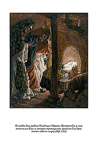 Die Bibel. Altes Testament Buch 1 und 2. Neues Testament (Set von 3 Büchern)