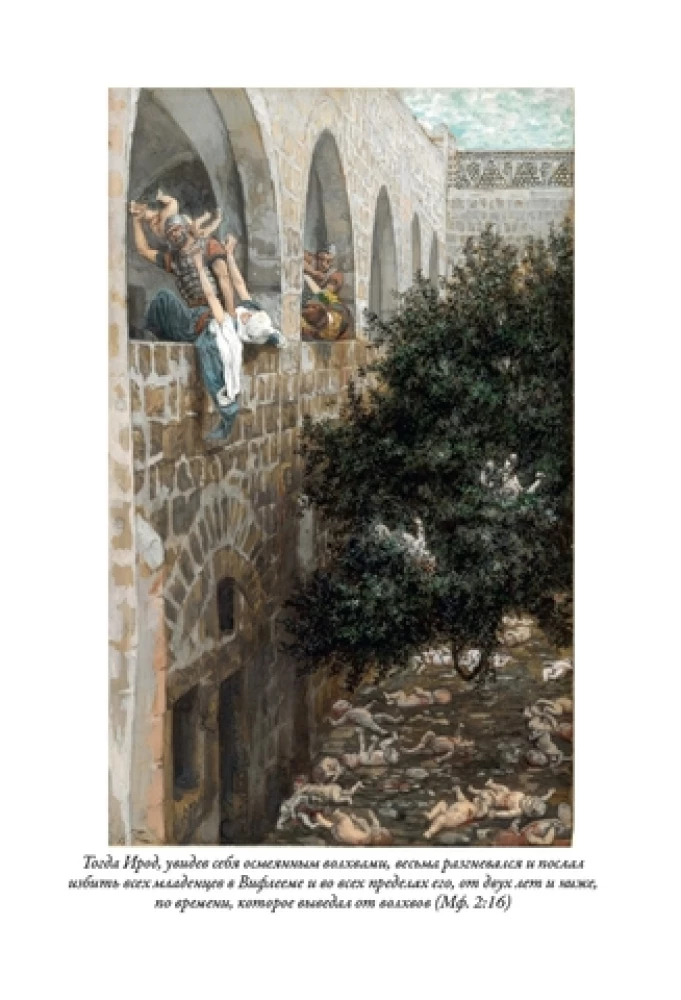 Die Bibel. Altes Testament Buch 1 und 2. Neues Testament (Set von 3 Büchern)