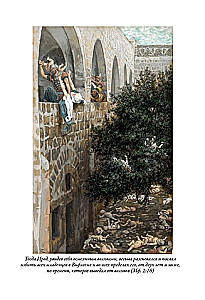 Die Bibel. Altes Testament Buch 1 und 2. Neues Testament (Set von 3 Büchern)