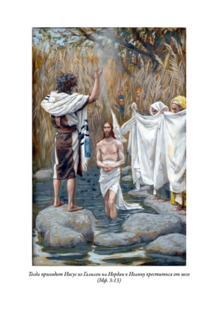 Die Bibel. Altes Testament Buch 1 und 2. Neues Testament (Set von 3 Büchern)