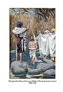 Die Bibel. Altes Testament Buch 1 und 2. Neues Testament (Set von 3 Büchern)