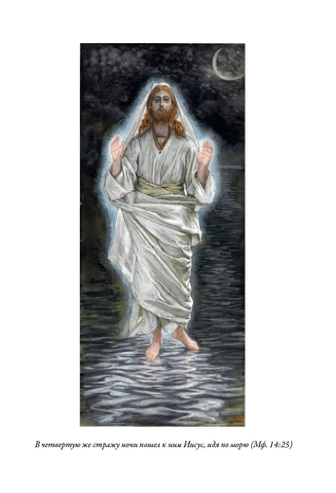 Die Bibel. Altes Testament Buch 1 und 2. Neues Testament (Set von 3 Büchern)