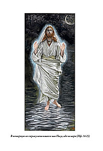 Die Bibel. Altes Testament Buch 1 und 2. Neues Testament (Set von 3 Büchern)