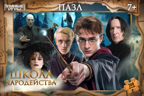 Puzzle - Szkoła czarodziejstwa, 260 elementów