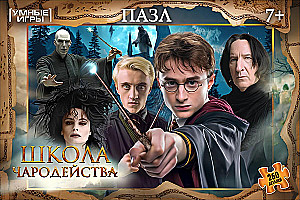 Puzzle - School of Magic, 260 pieces