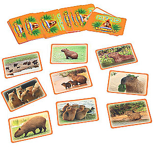 Brettspiel - Memo. Lustige Capybaras