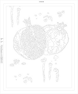 Zahlenmalerei mit Blattgold - Saftgranat
