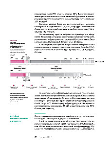 Инвестиции в инфраструктуру. 2020, 2021, 2022. Сборник аналитики InfraOne Research. Лучшее