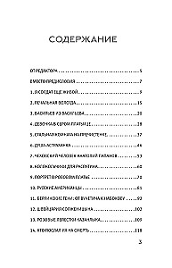 Kultūra dėžėje. Sovietų televizijos žurnalistės užrašai