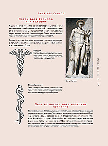 Драконология. Мифы и легенды со всего мира