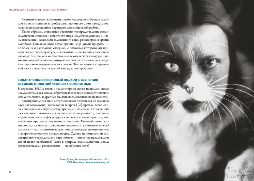 Magical Animals. Magical Plants (set of 2 books in a box)