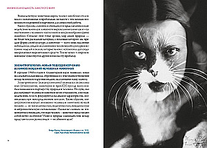 Magical Animals. Magical Plants (set of 2 books in a box)