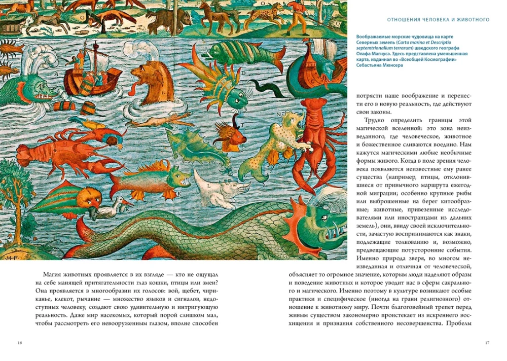 Magical Animals. Magical Plants (set of 2 books in a box)