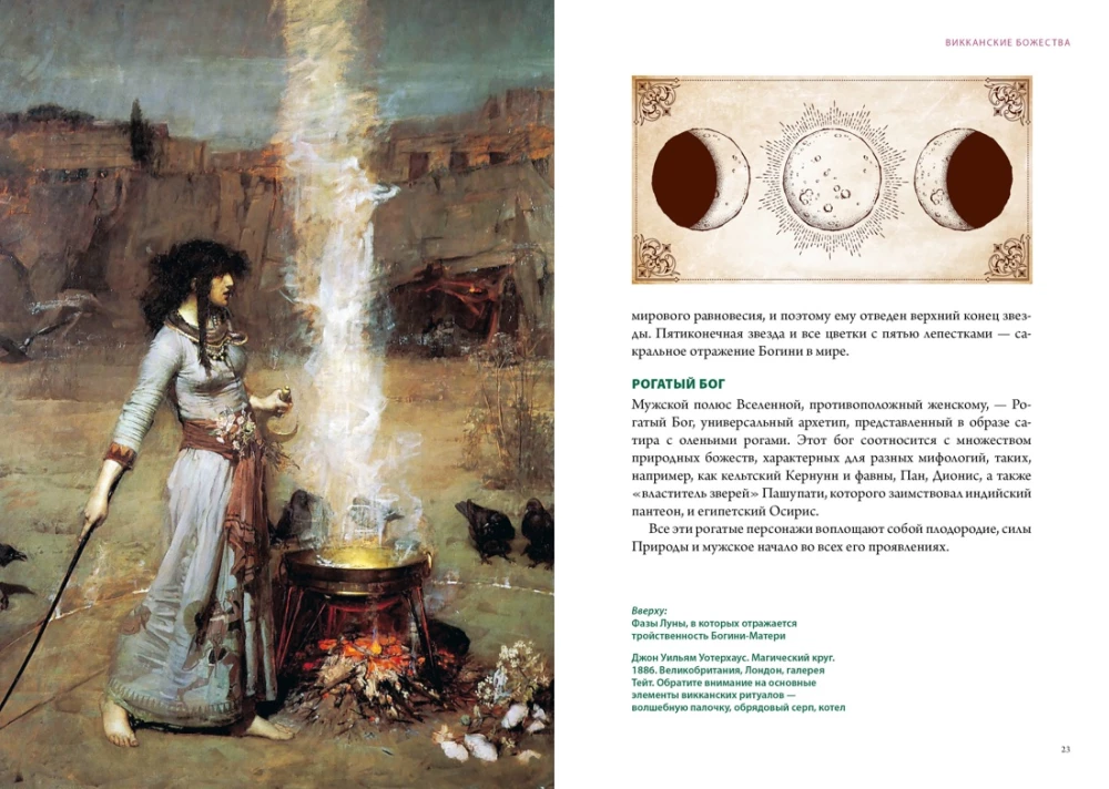 Magical Animals. Magical Plants (set of 2 books in a box)