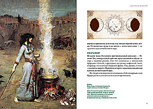 Magical Animals. Magical Plants (set of 2 books in a box)