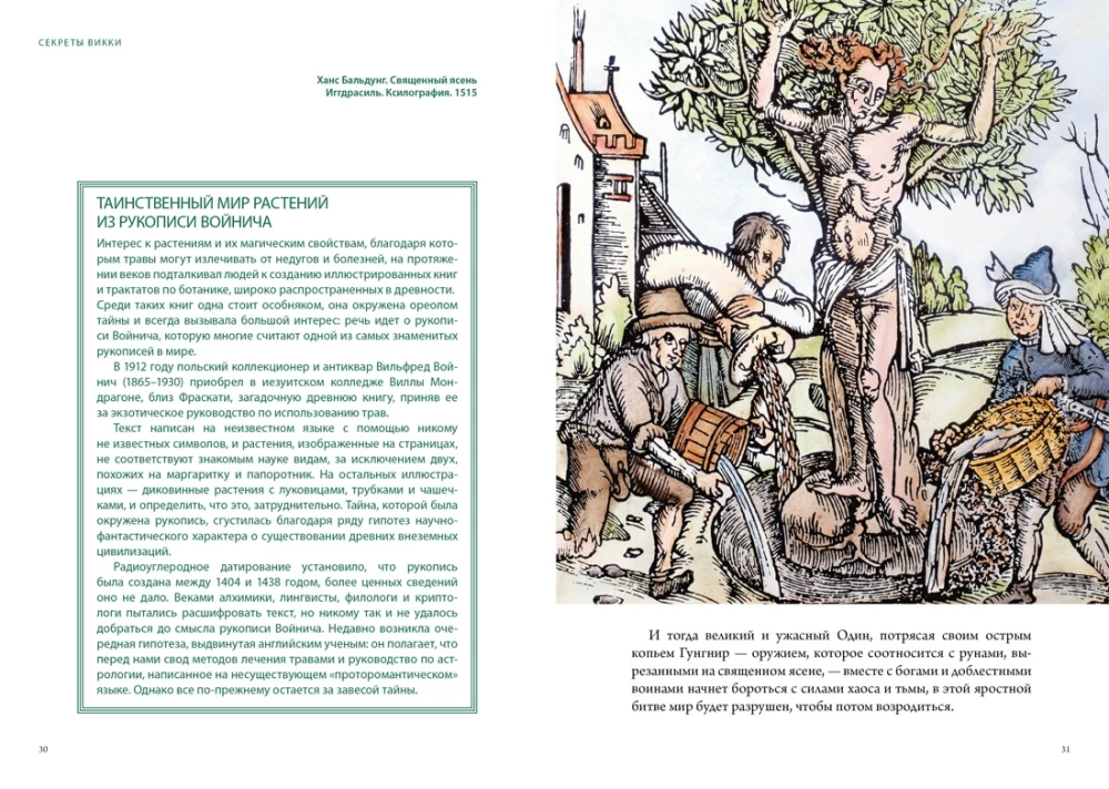 Magical Animals. Magical Plants (set of 2 books in a box)