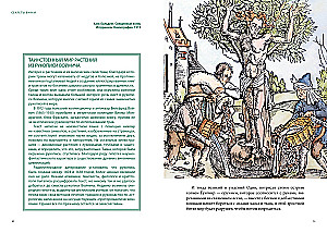 Magical Animals. Magical Plants (set of 2 books in a box)