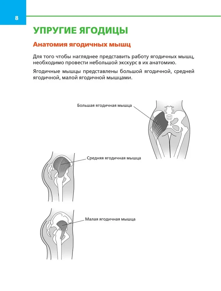 Your Perfect Figure. A Complete Guide to Effective Workouts