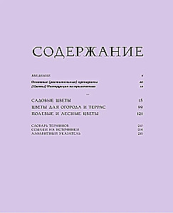 Grammar of Flowers. An Illustrated Guide to the Floral Universe of Symbols, Healing Properties, and Uses of Plants