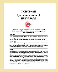 Grammar of Flowers. An Illustrated Guide to the Floral Universe of Symbols, Healing Properties, and Uses of Plants