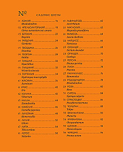 Grammar of Flowers. An Illustrated Guide to the Floral Universe of Symbols, Healing Properties, and Uses of Plants