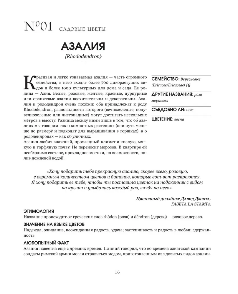 Grammar of Flowers. An Illustrated Guide to the Floral Universe of Symbols, Healing Properties, and Uses of Plants