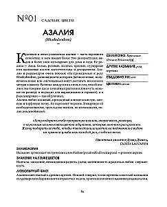 Grammar of Flowers. An Illustrated Guide to the Floral Universe of Symbols, Healing Properties, and Uses of Plants