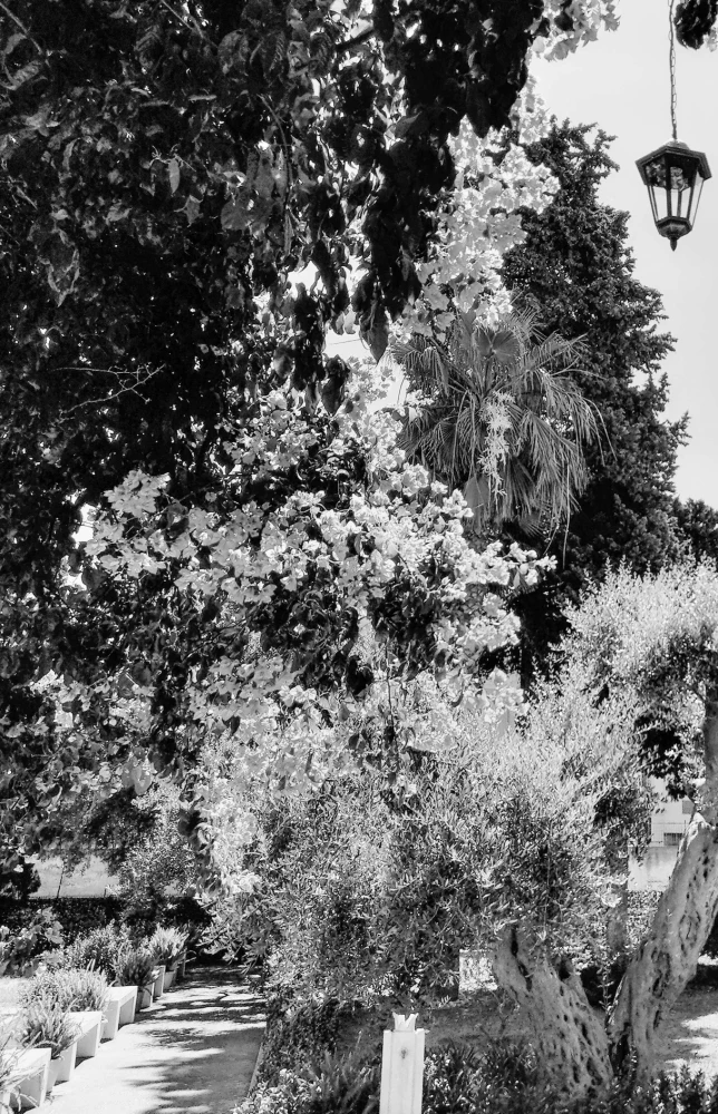 Believe, Pray, Love: Notes of a Secular Pilgrim