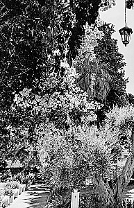 Believe, Pray, Love: Notes of a Secular Pilgrim