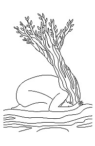 Сказания Ценной Женщины. Метафорические сказки и послания об истинной природе Женщины и её пути к себе настоящей