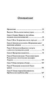 Illusions of Beliefs. Hearing the Call of the Soul in a World Obsessed with Happiness
