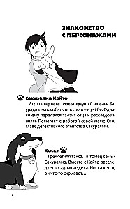 The Case of the Missing Figurine