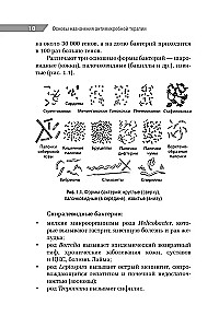 Antimikroobne teraapia pediaatrias