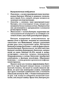 Antimikroobne teraapia pediaatrias