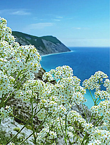 Кухня народов России. Живое тепло кулинарных традиций