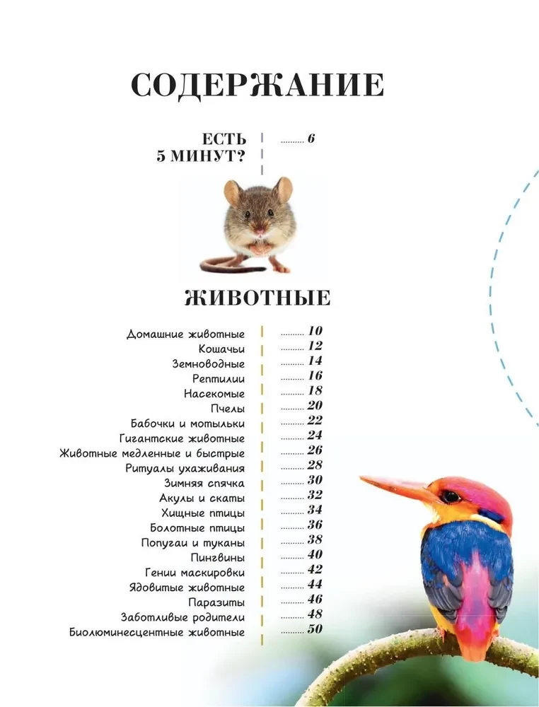 100 thousand why for every day. Nature