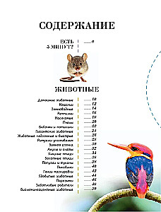 100 thousand why for every day. Nature