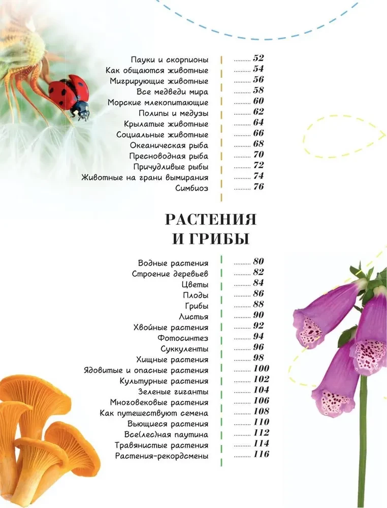 100 thousand why for every day. Nature