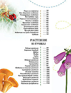 100 thousand why for every day. Nature