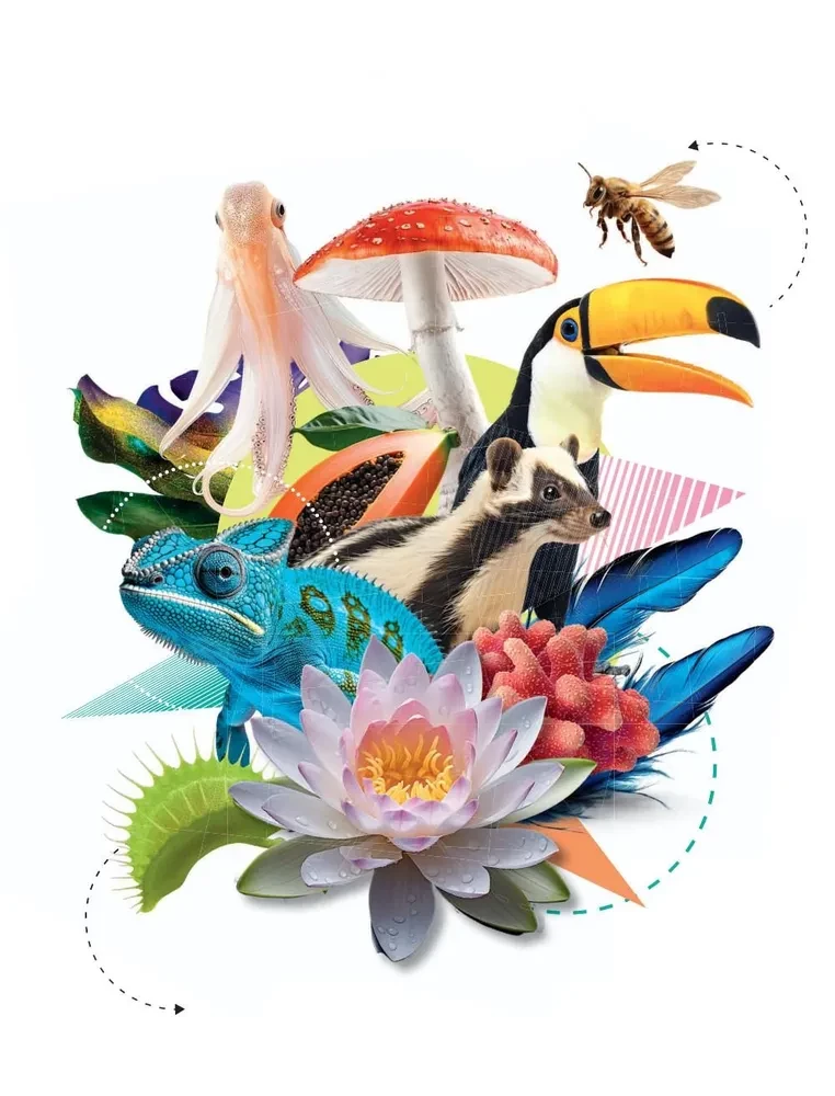 100 thousand why for every day. Nature