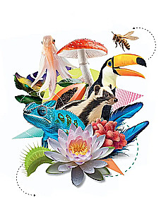 100 thousand why for every day. Nature