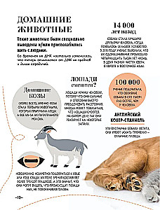 100 thousand why for every day. Nature