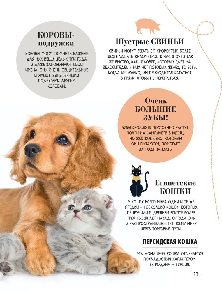 100 thousand why for every day. Nature