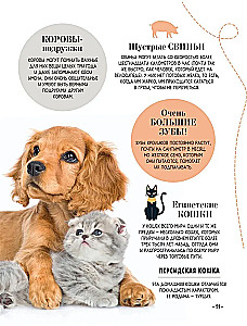 100 thousand why for every day. Nature