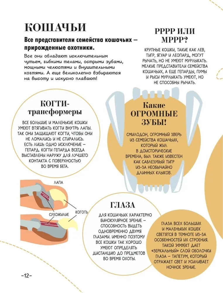 100 thousand why for every day. Nature