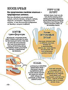 100 thousand why for every day. Nature