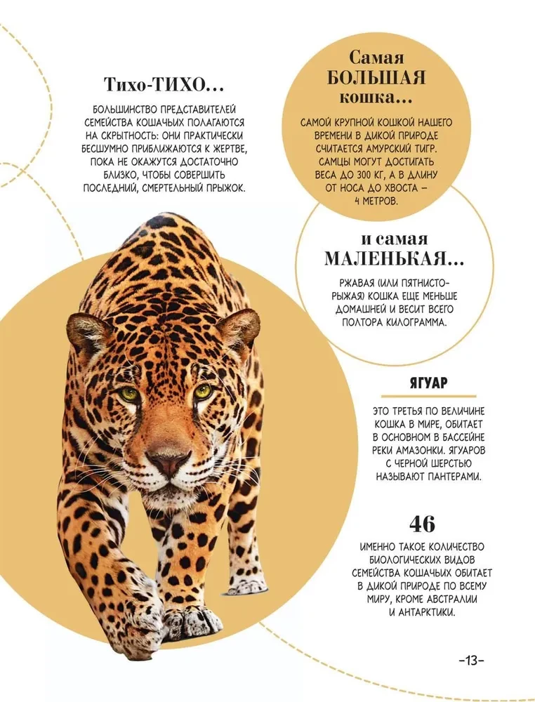 100 thousand why for every day. Nature