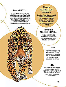 100 thousand why for every day. Nature