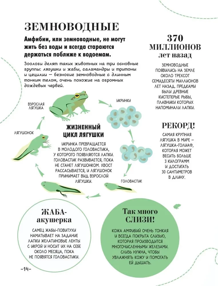 100 thousand why for every day. Nature